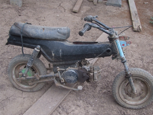 ขายยามาฮ่า ซิปปี้