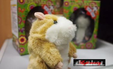 ******//// Hamster หนูแฮมเตอร์พูดกับเรา////******