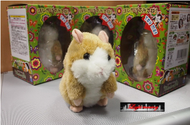 ******//// Hamster หนูแฮมเตอร์พูดกับเรา////******