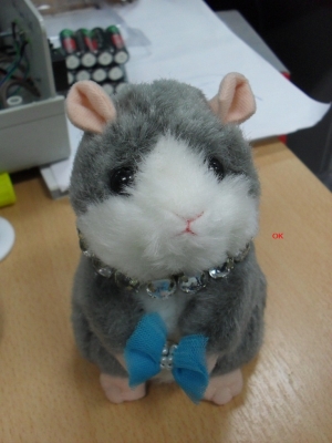 ******//// Hamster หนูแฮมเตอร์พูดกับเรา////******