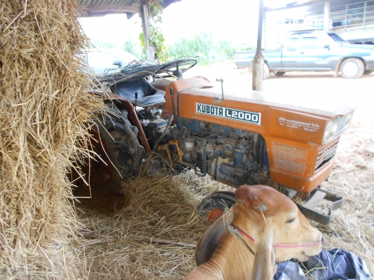 L2000 พร้อมใช้งาน