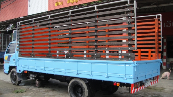 ISUZU NPR 115 ยาว 5 เมตร. ดาวน์65000 ผ่อน11770/48เดือน ISUZU NPR 115 ยาว 5 เมตร. ดาวน์65000 ผ่อน11770/48เดือน