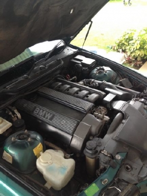 BMW 325i (นกแก้ว) BMW 325i (นกแก้ว)