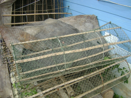 อุปกรณ์ จับปลา (ลอบ,แห)