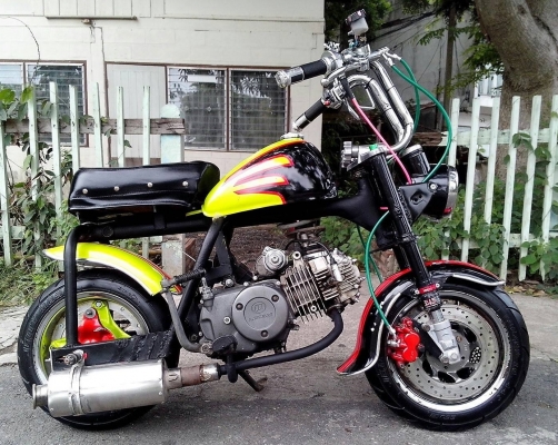 ขายลิงน้อยแสนซน เครื่อง125มีสตาร์ทมือ เอกสานอินวอย์