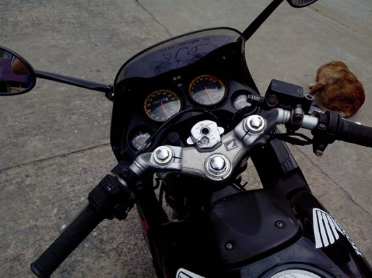 ขาย cbr150 คาร์บู ปี 50