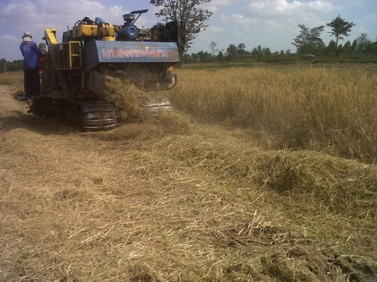 ขายรถเกี่ยว เกษตรพัฒนารองกระสอบ รถเกี่ยว+เทนเลอร์  540,000  บ.