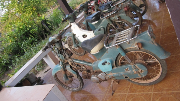 ด่วนๆๆครับมาใหม่คับ ชี50 เดิมๆครับสภาพเดิมๆๆสวยๆมีบังโซ่ครับ เครื่องไม่ติดเล่มไม่มีขายตามสภาพครับช้าอดหมดก่อนครับ ขาย6900บาทไม่รวมส่งราครานี้ไม่ลดแล้วนะครับ สนใจติดต่อ0801696651 ส่งได้ทั่วไทย ราคาส่ง1000บาทส่งได้ครับเอาก่อนเลือกก่อนครับ....