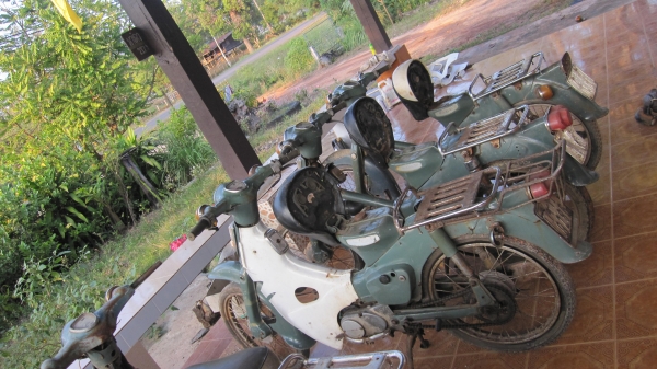 ด่วนๆๆครับมาใหม่คับ ชี50 เดิมๆ 3 คันครับสภาพเดิมๆๆสวยๆครับ เครื่องไม่ติดเล่มไม่มีขายตามสภาพครับช้าอดหมดก่อนครับ ขาย6900บาทไม่รวมส่งราครานี้ไม่ลดแล้วนะครับ สนใจติดต่อ0801696651 ส่งได้ทั่วไทย ราคาส่ง1000บาทส่งได้ครับเอาก่อนเลือกก่อนครับ....