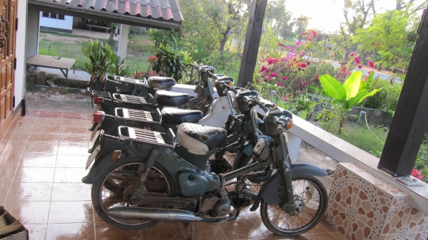 ด่วนๆๆครับมาใหม่คับ ชี50 เดิมๆ 3 คันครับสภาพเดิมๆๆสวยๆครับ เครื่องไม่ติดเล่มไม่มีขายตามสภาพครับช้าอดหมดก่อนครับ ขาย6900บาทไม่รวมส่งราครานี้ไม่ลดแล้วนะครับ สนใจติดต่อ0801696651 ส่งได้ทั่วไทย ราคาส่ง1000บาทส่งได้ครับเอาก่อนเลือกก่อนครับ....