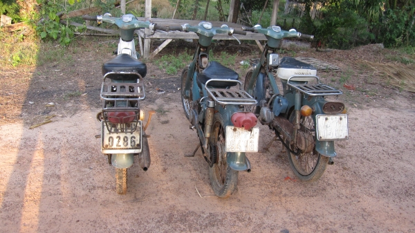 ด่วนๆๆครับมาใหม่คับ ชี50 เดิมๆ 3 คันครับสภาพเดิมๆๆสวยๆครับ เครื่องไม่ติดเล่มไม่มีขายตามสภาพครับช้าอดหมดก่อนครับ ขาย6900บาทไม่รวมส่งราครานี้ไม่ลดแล้วนะครับ สนใจติดต่อ0801696651 ส่งได้ทั่วไทย ราคาส่ง1000บาทส่งได้ครับเอาก่อนเลือกก่อนครับ....