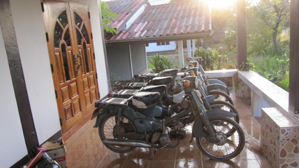 ด่วนๆๆครับมาใหม่คับ ชี50 เดิมๆ 3 คันครับสภาพเดิมๆๆสวยๆครับ เครื่องไม่ติดเล่มไม่มีขายตามสภาพครับช้าอดหมดก่อนครับ ขาย6900บาทไม่รวมส่งราครานี้ไม่ลดแล้วนะครับ สนใจติดต่อ0801696651 ส่งได้ทั่วไทย ราคาส่ง1000บาทส่งได้ครับเอาก่อนเลือกก่อนครับ....