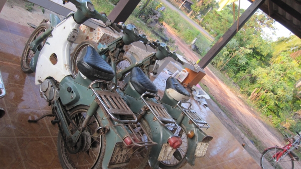 ด่วนๆๆครับมาใหม่คับ ชี50 เดิมๆ 3 คันครับสภาพเดิมๆๆสวยๆครับ เครื่องไม่ติดเล่มไม่มีขายตามสภาพครับช้าอดหมดก่อนครับ ขาย6900บาทไม่รวมส่งราครานี้ไม่ลดแล้วนะครับ สนใจติดต่อ0801696651 ส่งได้ทั่วไทย ราคาส่ง1000บาทส่งได้ครับเอาก่อนเลือกก่อนครับ....