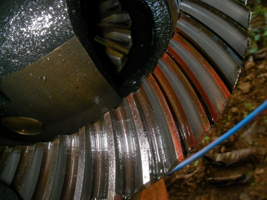 เฟืองท้ายโตโยต้า 10/43 รูปชัดๆ