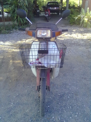 ขาย ฮอนด้า ครัชตอม 900CDI สตาร์ทมือ ทะเบียนเต็มพร้อมโอนถูกๆด่วน ต้นสุ1000 ,0861223256 ขาย ฮอนด้า ครัชตอม 900CDI สตาร์ทมือ ทะเบียนเต็มพร้อมโอนถูกๆด่วน ต้นสุ1000 ,0861223256