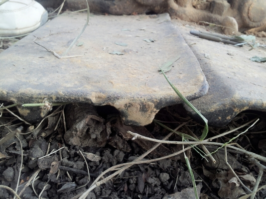 ขายโซ่พร้อมใบ.komutsu pc200-5  สวยๆถูกๆ