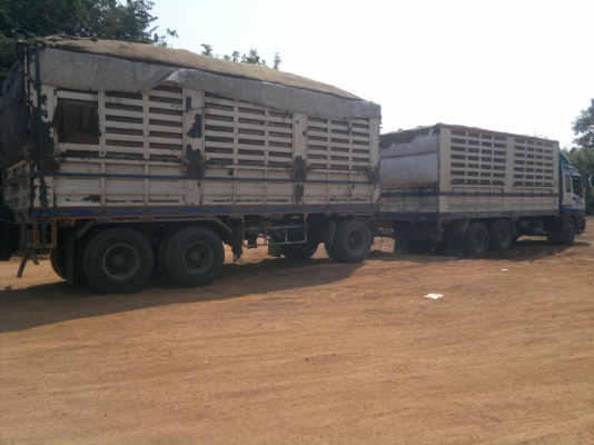 ขายรถพ่วง 22 ล้อ 2 เพลา แม่-ลูก กระบะเหล็กคอกเกษตรไม่ดั้ม ISUZU GIGR 6WA1-360 แรง ปี.52 รถใช้งานอยู่