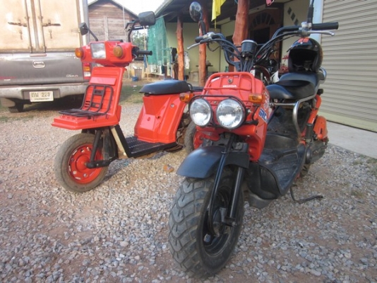 ขายแลก Honda zoomer 50 cc  สภาพดี มีของแต่ง 25,900 ต่อรองได้