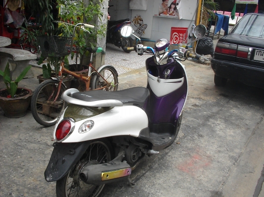 ขาย fino ตามสภาพ ขาย fino ตามสภาพ