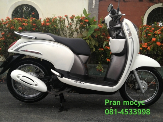 ขาย Honda scoopyสีขาวเทา ปี2556