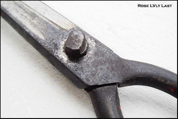 กรรไกรหาง รุ่นเก่า "ตราตา" ทำมือในเมือง โซลินเกน ประเทศเยอรมนี ของแท้ 100\% (หายากควรค่าแก่การสะสม) กรรไกรหาง รุ่นเก่า "ตราตา" ทำมือในเมือง โซลินเกน ประเทศเยอรมนี ของแท้ 100\% (หายากควรค่าแก่การสะสม)