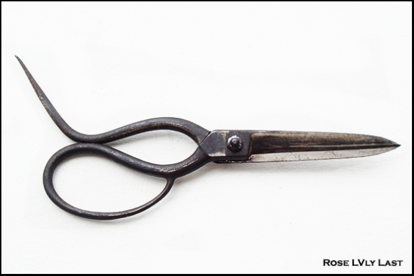 กรรไกรหาง รุ่นเก่า "ตราตา" ทำมือในเมือง โซลินเกน ประเทศเยอรมนี ของแท้ 100\% (หายากควรค่าแก่การสะสม) กรรไกรหาง รุ่นเก่า "ตราตา" ทำมือในเมือง โซลินเกน ประเทศเยอรมนี ของแท้ 100\% (หายากควรค่าแก่การสะสม)