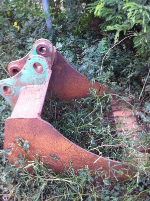 ขายบุ้งกี๋ตักผัก