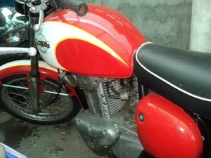 estela 250 ขาย