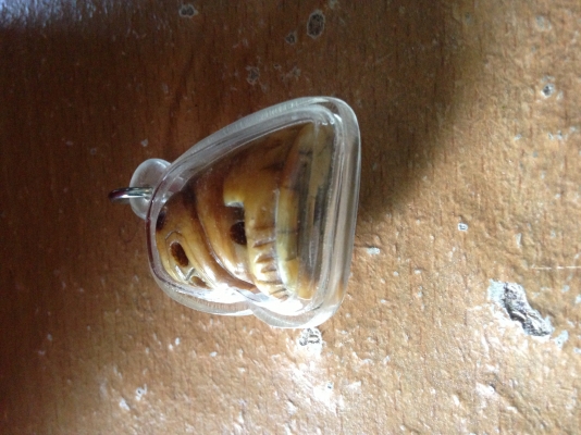 ขอขายถูกๆ!!!!  แหวนเงินหางปลากระเบนวงใหญ่+เขี้ยวเสือ