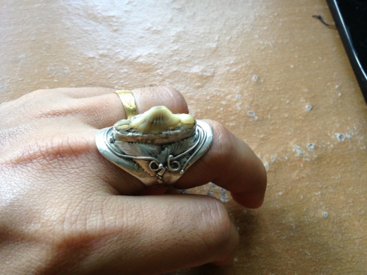 ขอขายถูกๆ!!!!  แหวนเงินหางปลากระเบนวงใหญ่+เขี้ยวเสือ