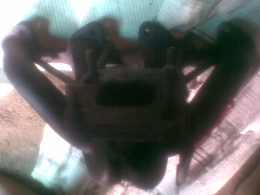 เฮดโบ tfr มังกรทอง เฮดโบ tfr มังกรทอง