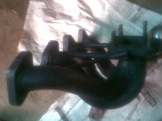 เฮดโบ tfr มังกรทอง