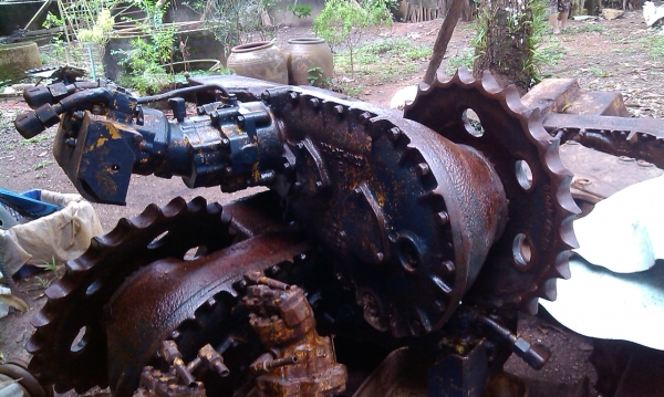 ตัวเดิน12 HT ราคา 350000/คู่ โทร 0850853022