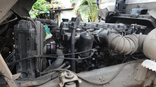 ขาย misu FN515 คอกเหล็ก