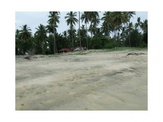 ขออนุญาติขายที่ดินแปลงสวยหน้าติดชายหาดหลังติดถนน9ไร่กว่า