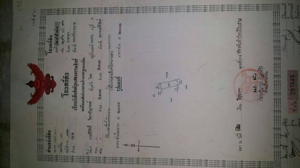 ขออนุญาติขายที่ดินแปลงสวยหน้าติดชายหาดหลังติดถนน9ไร่กว่า