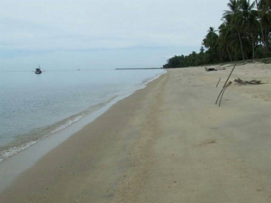 ขออนุญาติขายที่ดินแปลงสวยหน้าติดชายหาดหลังติดถนน9ไร่กว่า