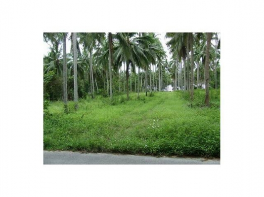 ขออนุญาติขายที่ดินแปลงสวยหน้าติดชายหาดหลังติดถนน9ไร่กว่า