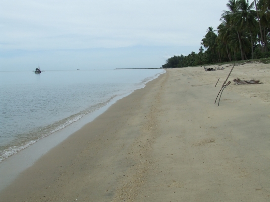 ขออนุญาติขายที่ดินแปลงสวยหน้าติดชายหาดหลังติดถนน9ไร่กว่า