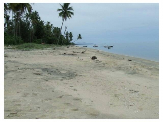 ขออนุญาติขายที่ดินแปลงสวยหน้าติดชายหาดหลังติดถนน9ไร่กว่า