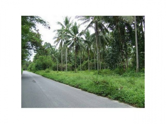 ขออนุญาติขายที่ดินแปลงสวยหน้าติดชายหาดหลังติดถนน9ไร่กว่า