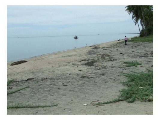 ขออนุญาติขายที่ดินแปลงสวยหน้าติดชายหาดหลังติดถนน9ไร่กว่า