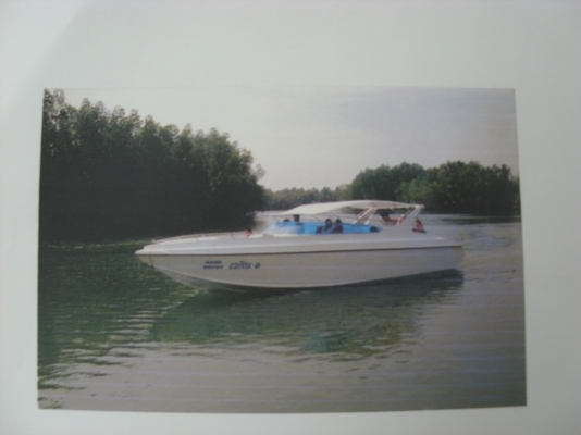 ขายสปีดโบ๊ต