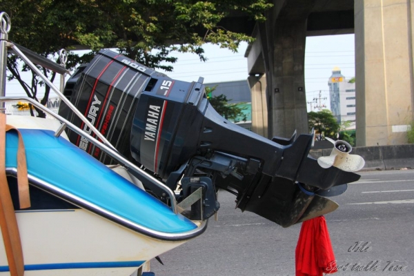 เรือSeat Boat22ฟุต เรือSeat Boat22ฟุต