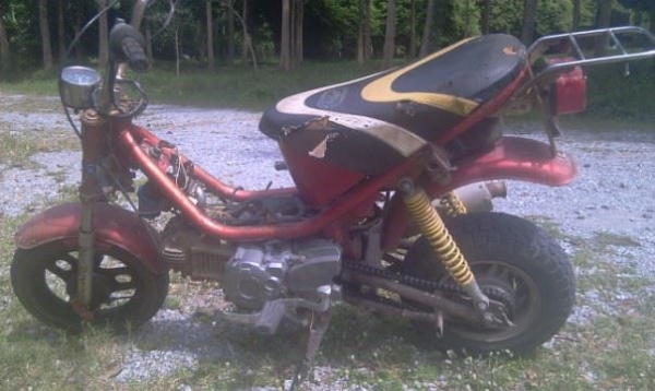 ยามาฮ่า ชิปปี้