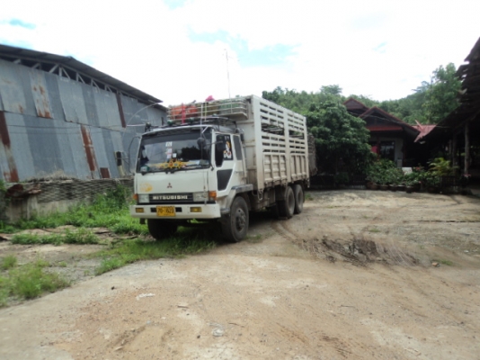 ขาย FUSO TURBO  528  6D16  220  แรง