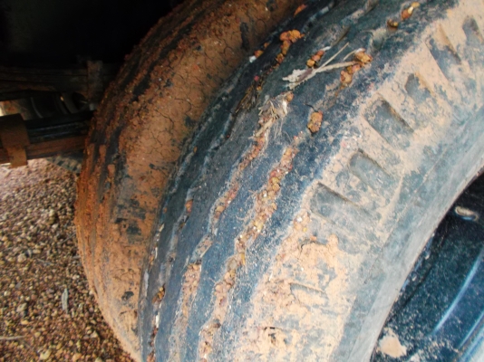 ขายด่วนรถ6ล้อร็อคกี้เครือง195แรงม้ายาว6.20มช