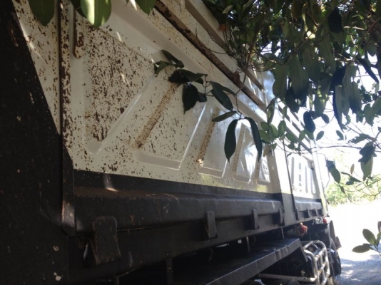 รถอีซูซุ 10 ล้อดั้ม FXZ 270 แรงม้า ปี 49  ( รถวิ่ง 11x,xxx กม. ) สนใจติดต่อ 081 - 6079515