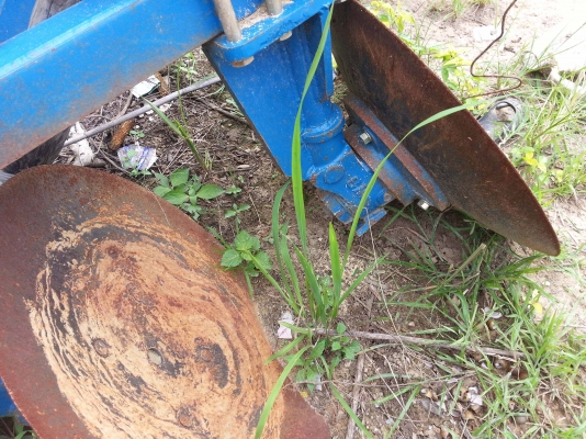 ขายด่วน