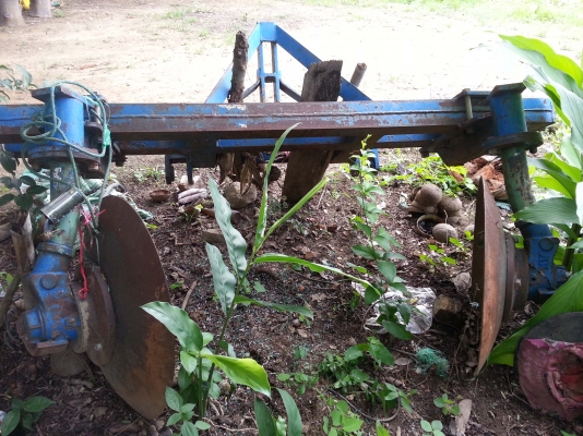 ขายด่วน